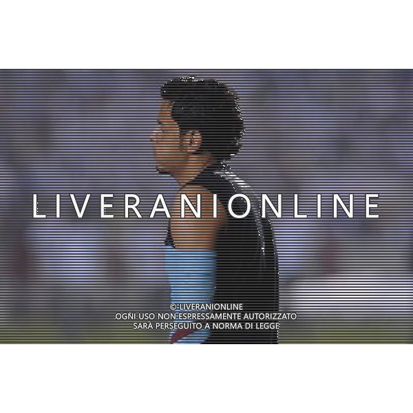INTERNATIONAL FOOTBALL LIBERTADORES CUP 2008 / FINAL MATCH RETURN FLUMINENESE_LDU QUITO 3-1 (Dpp 1-3) ( Maracana Stadium Rio ) FERNANDO HENRIQUE ( Flum_Goolkepeer)_ DECEPTION AT THE END =============================================== ATT : IMAGES ONLY FOR THE ITALIAN MARKET AG ALDO LIVERANI
