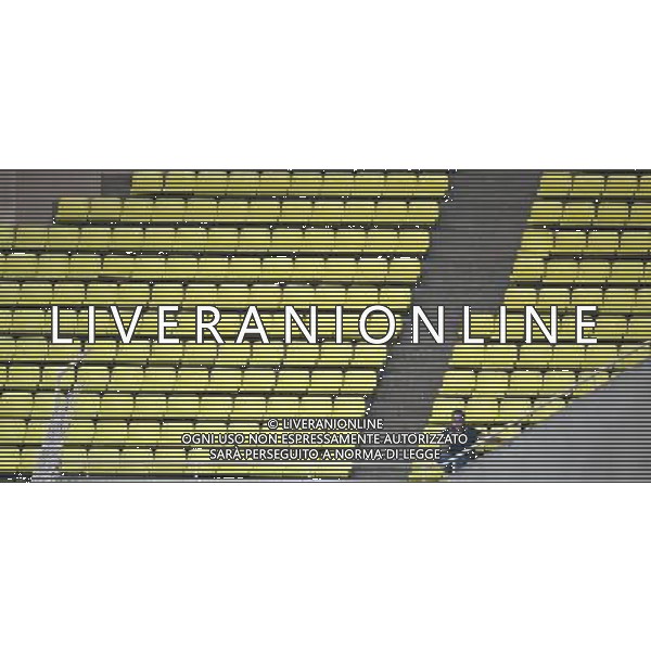 Foto Aldo Liverani/Luca Ghidoni Monaco 02/08/2008 Amichevole di calcio 2008-2009 As Monaco-Roma Nella foto uno spettatore sugli spalti ag aldo liverani