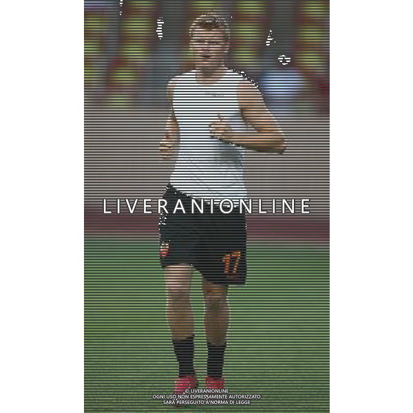 Foto Aldo Liverani/Luca Ghidoni Monaco 02/08/2008 Amichevole di calcio 2008-2009 As Monaco-Roma Nella foto riise ag aldo liverani