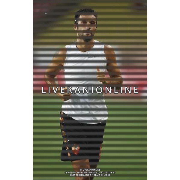 Foto Aldo Liverani/Luca Ghidoni Monaco 02/08/2008 Amichevole di calcio 2008-2009 As Monaco-Roma Nella foto Mirko Vucinic ag aldo liverani