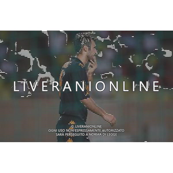 Foto Aldo Liverani/Luca Ghidoni Monaco 02/08/2008 Amichevole di calcio 2008-2009 As Monaco-Roma Nella foto Mirko Vucinic ag aldo liverani