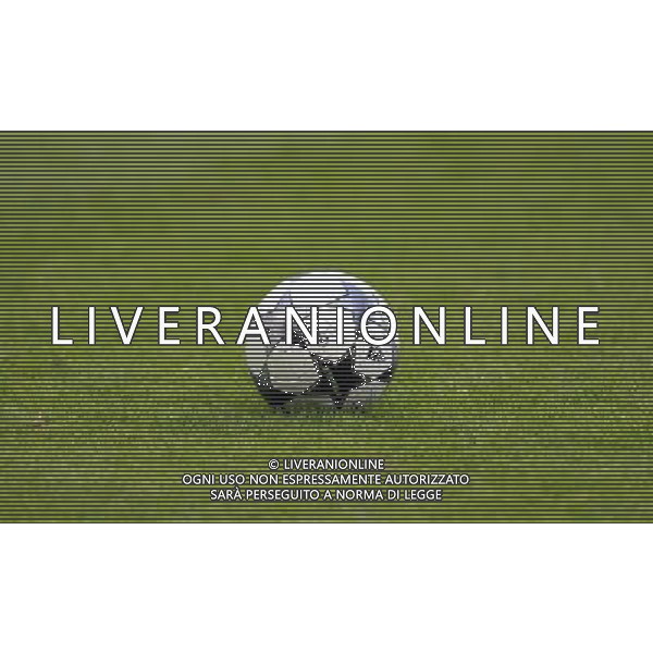 Trofeo Pirelli-Beckenbauer Cup Monaco - 05.08.2008 Bayern Monaco-Inter Nella Foto:PALLONE CHAMPIONS LEAGUE /Ph.Vitez-Ag. Aldo Liverani