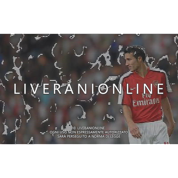 LG Amsterdam Tournament 2008 Amsterdam - 08.08.2008 Ajax-Arsenal Nella Foto:VAN PERSIE ROBIN /Ph.Vitez-Ag. Aldo Liverani