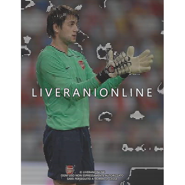 LG Amsterdam Tournament 2008 Amsterdam - 09.08.2008 Arsenal-Siviglia Nella Foto:FABIANSKI LUKASZ /Ph.Vitez-Ag. Aldo Liverani