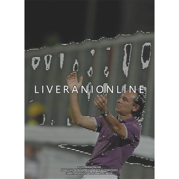 Champions League 2008/2009 Terzo Turno Preliminare Firenze - 12.08.2008 Fiorentina-Slavia Praga Nella Foto:PRANDELLI CESARE /Ph.Vitez-Ag. Aldo Liverani
