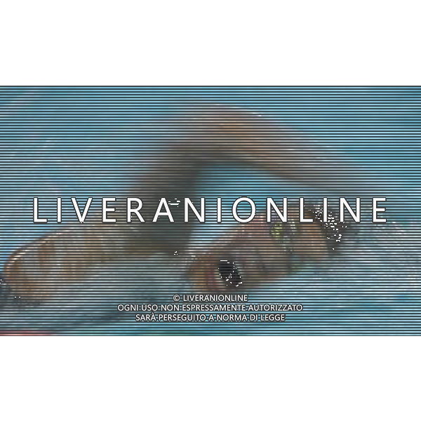 Pechino -08-2008 Giochi Olimpici Pechino Beijing 2008 nella foto particolari olimpici ph marco luzzani/ag aldo liverani s.a.s.