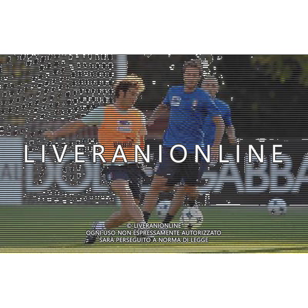 Allenamento Nazionale Italiana Coverciano(FI) - 18.08.2008 Nella Foto: CIRO FERRARA /Ph.Vitez-Ag. Aldo Liverani