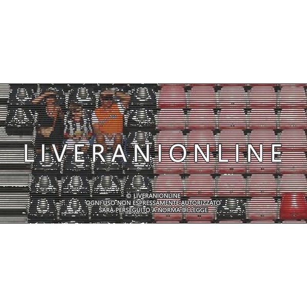 Italia - Austria Amichevole di calcio a Nizza 20/08/2008 Nella foto tifosi sugli spalti Foto Ghidoni/Ag. Aldo Liverani