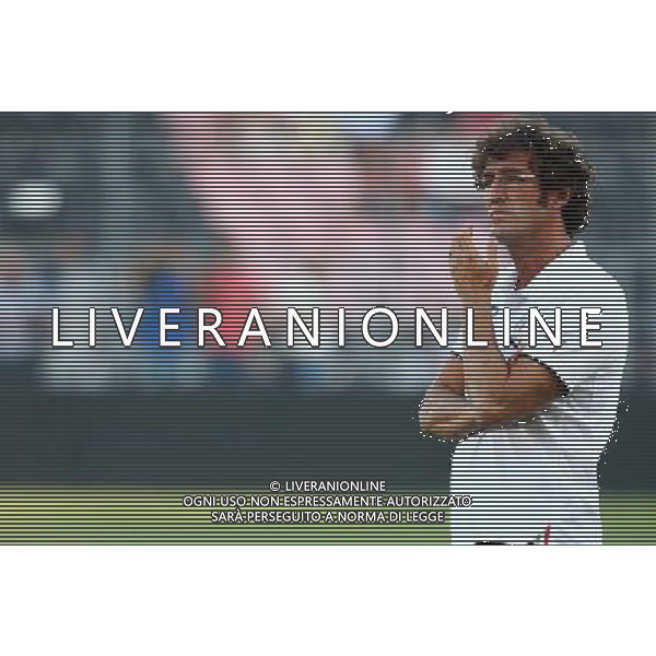 Italia - Austria Amichevole di calcio a Nizza 20/08/2008 Nella foto Ciro Ferrara Foto Ghidoni/Ag. Aldo Liverani