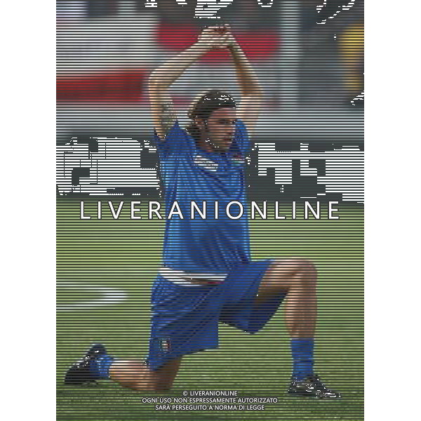 Italia - Austria Amichevole di calcio a Nizza 20/08/2008 Nella foto Andrea Barzagli Foto Ghidoni/Ag. Aldo Liverani