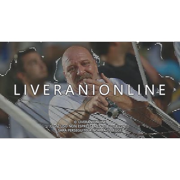 Italia - Austria Amichevole di calcio a Nizza 20/08/2008 Nella foto un tifoso sugli spalti Foto Ghidoni/Ag. Aldo Liverani