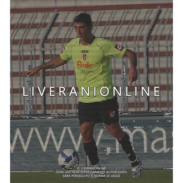 PADOVA CALCIO 2008-2009 NELLA FOTO PETRASSI MARCO AG ALDO LIVERANI