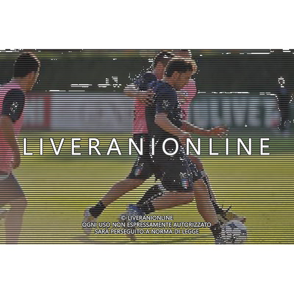 Raduno Nazionale Italiana - Allenamento Coverciano(FI) - 02.09.2008 Nella Foto:DEL PIERO alessandro /Ph.Vitez-Ag. Aldo Liverani