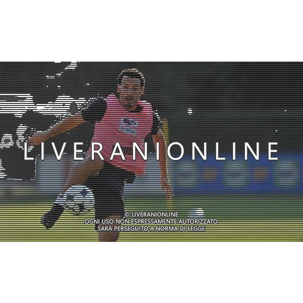 Raduno Nazionale Italiana - Allenamento Coverciano(FI) - 02.09.2008 Nella Foto:ZAMBROTTA gianluca /Ph.Vitez-Ag. Aldo Liverani