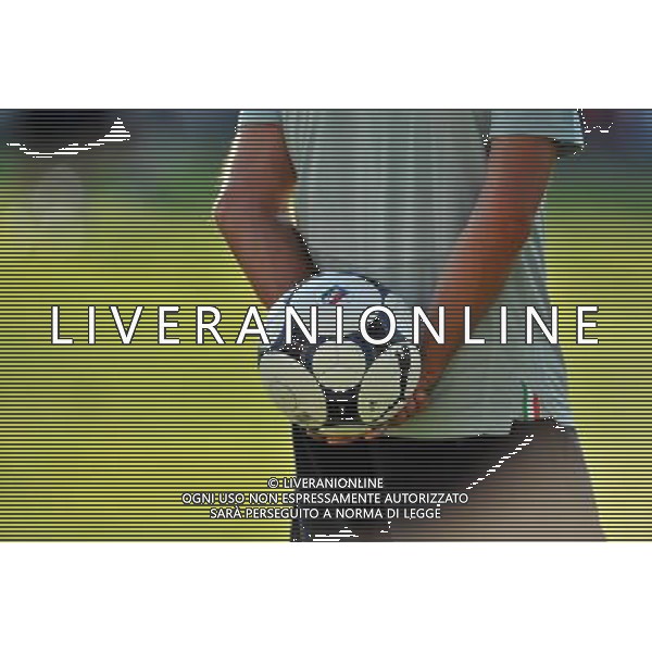 Raduno Nazionale Italiana - Allenamento Coverciano(FI) - 02.09.2008 Nella Foto:PALLONE ITALIA /Ph.Vitez-Ag. Aldo Liverani