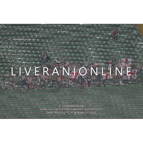 Italia - Georgia Qualificazione Mondiali 2010 - Udine 10/09/2008 nella foto i tifosi della georgia ph garbuio/Ag. Aldo Liverani sas