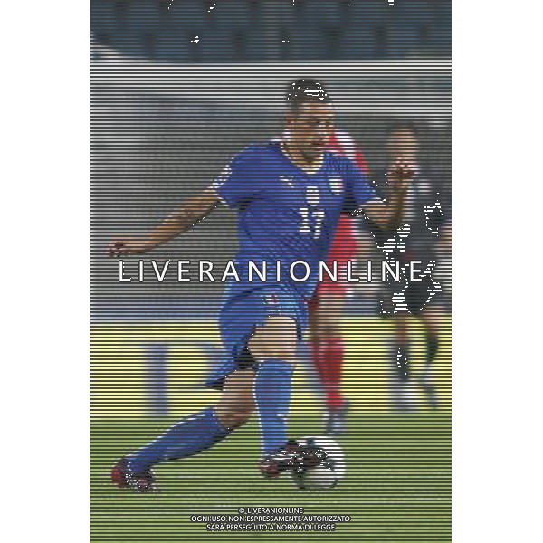 UDINE 10/09/2008 QUALIFICAZIONE MONDIALE 2010 ITALIA-GEORGIA NELLA FOTO:PALOMBO FOTO PAOLA GARBUIO/AG.ALDO LIVERANI