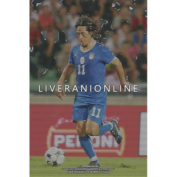UDINE 10/09/2008 QUALIFICAZIONE MONDIALE 2010 ITALIA-GEORGIA NELLA FOTO:CAMORANESI FOTO PAOLA GARBUIO/AG.ALDO LIVERANI