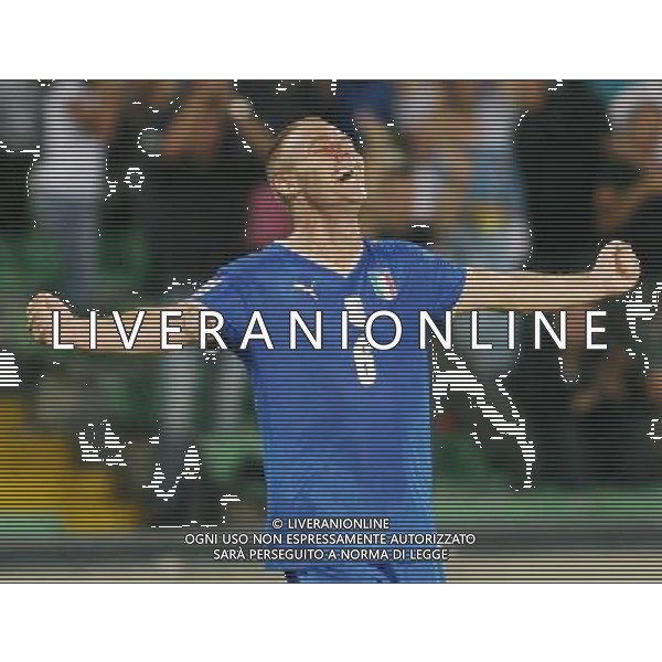 UDINE 10/09/2008 QUALIFICAZIONE MONDIALE 2010 ITALIA-GEORGIA NELLA FOTO:ESULTANZA DI DE ROSSI FOTO PAOLA GARBUIO/AG.ALDO LIVERANI