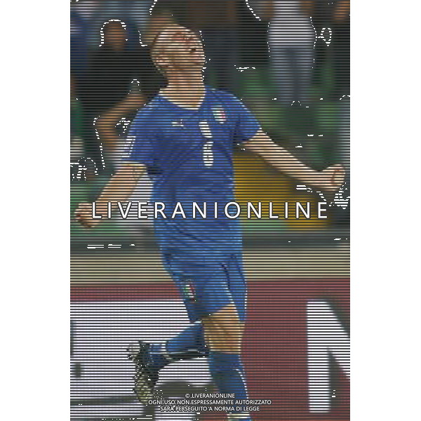 UDINE 10/09/2008 QUALIFICAZIONE MONDIALE 2010 ITALIA-GEORGIA NELLA FOTO:ESULTANZA DI DE ROSSI FOTO PAOLA GARBUIO/AG.ALDO LIVERANI