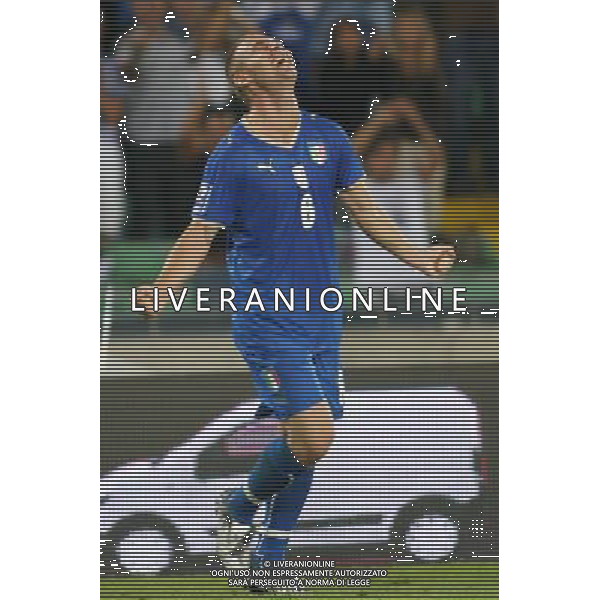 UDINE 10/09/2008 QUALIFICAZIONE MONDIALE 2010 ITALIA-GEORGIA NELLA FOTO:ESULTANZA DI DE ROSSI FOTO PAOLA GARBUIO/AG.ALDO LIVERANI