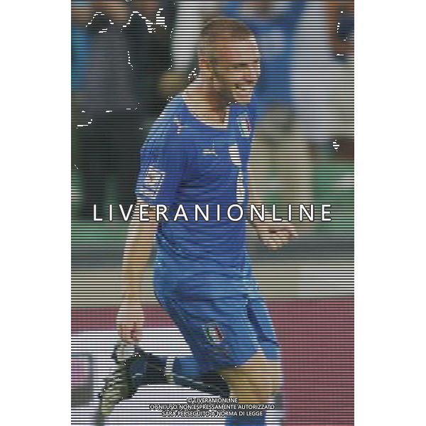 UDINE 10/09/2008 QUALIFICAZIONE MONDIALE 2010 ITALIA-GEORGIA NELLA FOTO:ESULTANZA DI DE ROSSI FOTO PAOLA GARBUIO/AG.ALDO LIVERANI