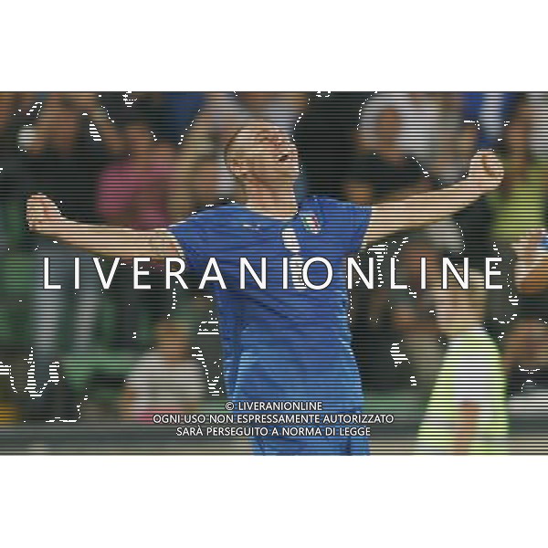 UDINE 10/09/2008 QUALIFICAZIONE MONDIALE 2010 ITALIA-GEORGIA NELLA FOTO:ESULTANZA DI DE ROSSI FOTO PAOLA GARBUIO/AG.ALDO LIVERANI