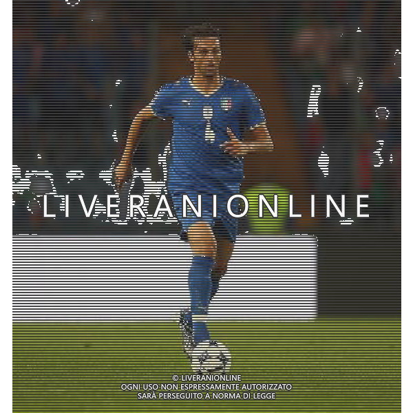 Udine 10/09/2008 Calcio Qualificazioni Mondiali 2010 Italia-Georgia Nella foto Nicola Legrottaglie ph LUCA GHIDONI/ag ALDO LIVERANI SAS