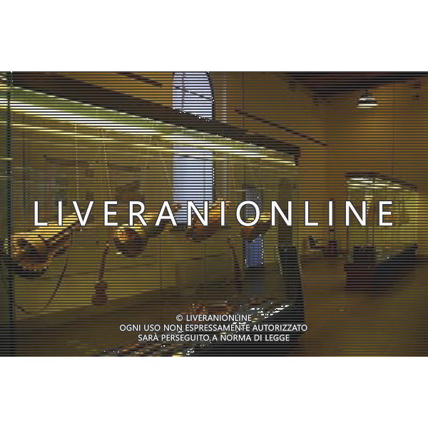MUSEO DELLA MUSICA /STRUMENTI A CORDE INAUGURAZIONE DELLO STUDIO DI FONOLOGIA MUSICALE DELLA RAI, RIAPERTO AL PUBBLICO NELLA NUOVA SEDE AL MUSEO DEGLI STRUMENTI MUSICALI DEL CASTELLO SFORZESCO DI MILANO FOTO SORANO - AG. ALDO LIVERANI SAS
