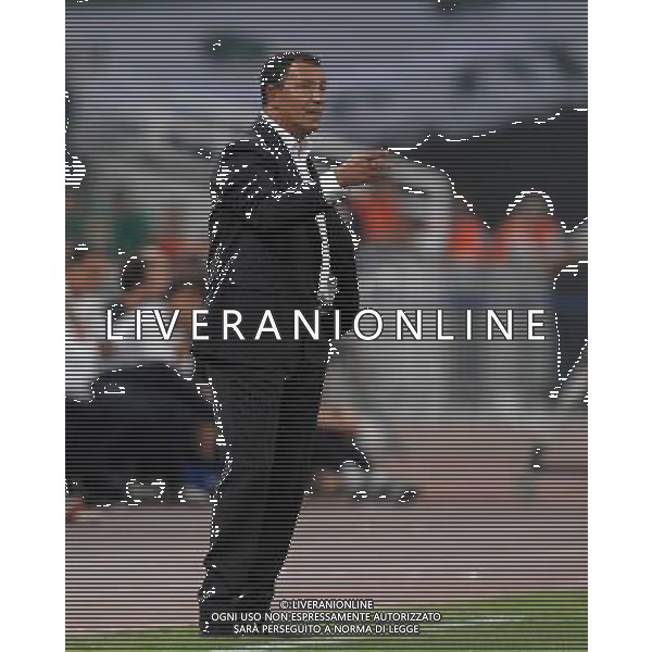 Champions League 2008/2009 Gruppo B Atene - 16.09.2008 Panathinaikos-Inter Nella Foto:TEN CATE /Ph.Vitez-Ag. Aldo Liverani