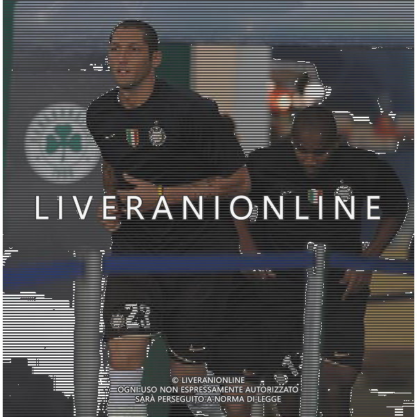 Champions League 2008/2009 Gruppo B Atene - 16.09.2008 Panathinaikos-Inter Nella Foto:MATERAZZI MARCO /Ph.Vitez-Ag. Aldo Liverani