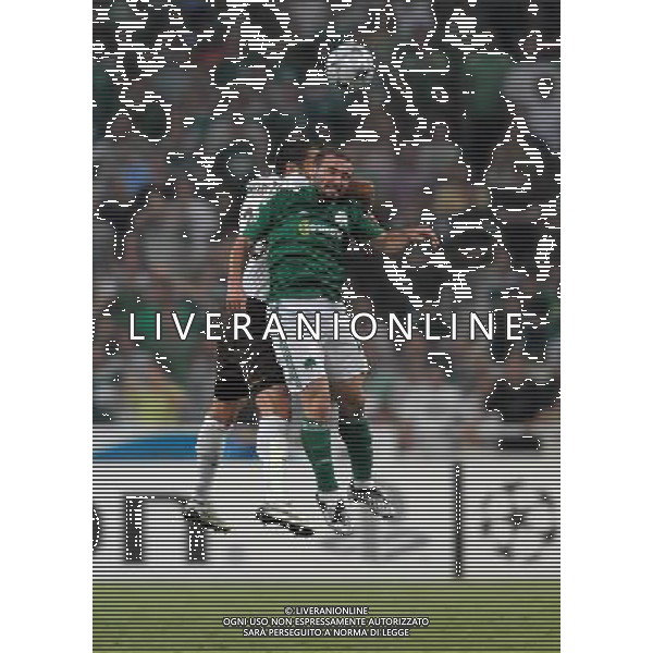 Champions League 2008/2009 Gruppo B Atene - 16.09.2008 Panathinaikos-Inter Nella Foto:SALPINGIDIS DIMITRIS-MATERAZZI MARCO /Ph.Vitez-Ag. Aldo Liverani