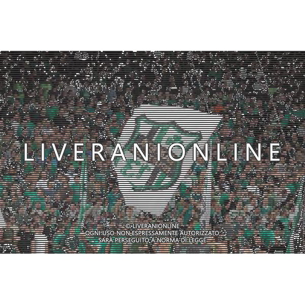 Champions League 2008/2009 Gruppo B Atene - 16.09.2008 Panathinaikos-Inter Nella Foto:TIFOSI PANATHINAIKOS /Ph.Vitez-Ag. Aldo Liverani