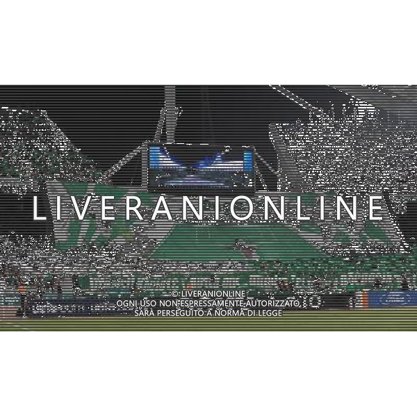 Champions League 2008/2009 Gruppo B Atene - 16.09.2008 Panathinaikos-Inter Nella Foto:TIFOSI PANATHINAIKOS /Ph.Vitez-Ag. Aldo Liverani