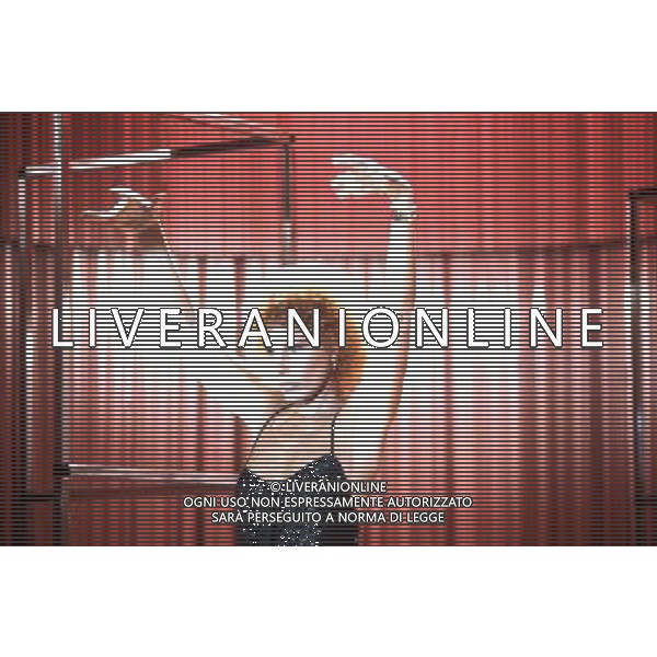 Ornella Vanoni Cantante Archivio Ag. Aldo Liverani Sas retrospettiva