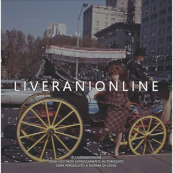 Ornella Vanoni Cantante Archivio Ag. Aldo Liverani Sas retrospettiva