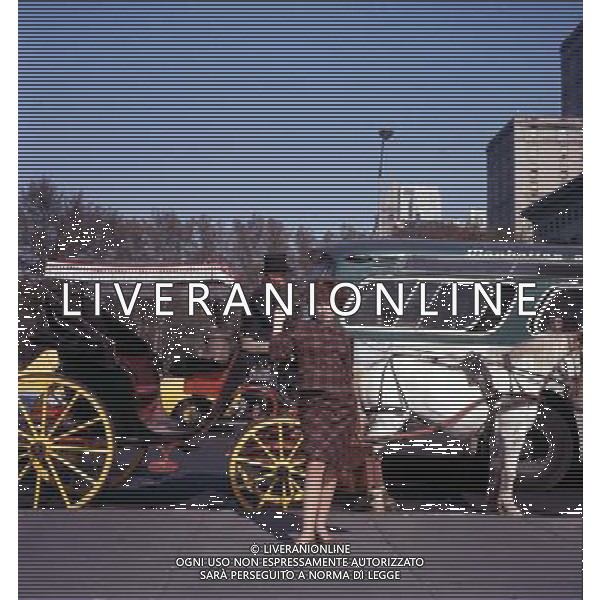 Ornella Vanoni Cantante Archivio Ag. Aldo Liverani Sas retrospettiva