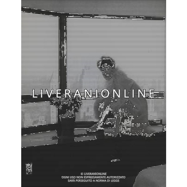 Ornella Vanoni Cantante Archivio Ag. Aldo Liverani Sas retrospettiva