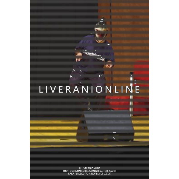 LO SPETTACOLO DE \'I FICHI D\'INDIA \' AL PALASHARP DI MILANO FOTO SORANO - AG. ALDO LIVERANI SAS