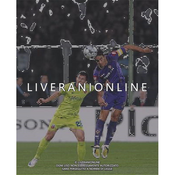 Champions League 2008/2009 Gruppo F Firenze - 30.09.2008 Fiorentina-Steaua Bucarest Nella Foto: DANIELE DAINELLI-STANCU /Ph.Vitez-Ag. Aldo Liverani