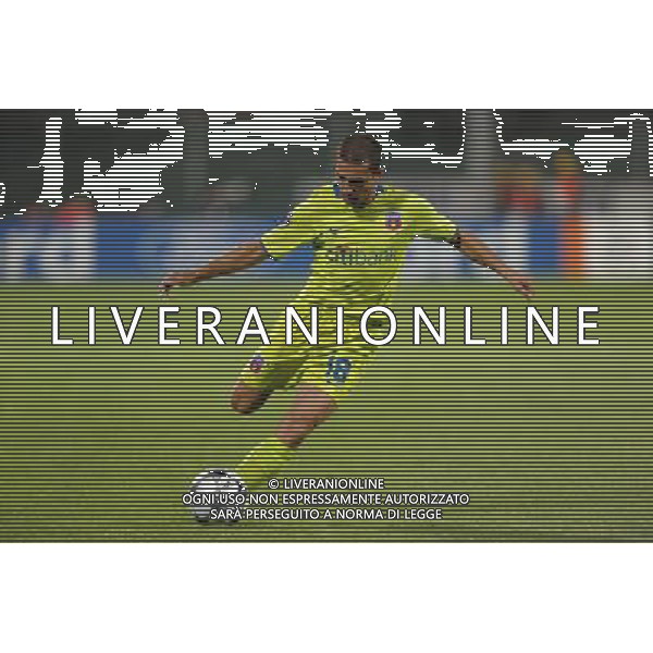 Champions League 2008/2009 Gruppo F Firenze - 30.09.2008 Fiorentina-Steaua Bucarest Nella Foto:MARIN PETRE /Ph.Vitez-Ag. Aldo Liverani