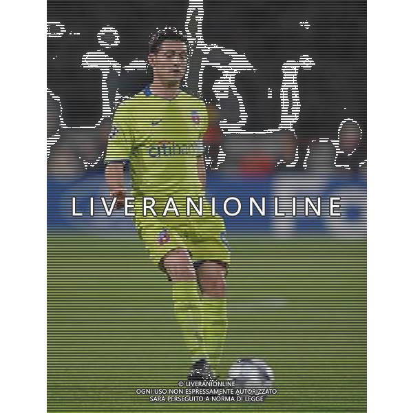 Champions League 2008/2009 Gruppo F Firenze - 30.09.2008 Fiorentina-Steaua Bucarest Nella Foto:RADOI MIREL /Ph.Vitez-Ag. Aldo Liverani