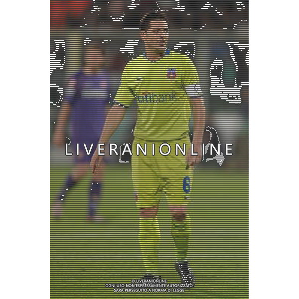 Champions League 2008/2009 Gruppo F Firenze - 30.09.2008 Fiorentina-Steaua Bucarest Nella Foto:RADOI MIREL /Ph.Vitez-Ag. Aldo Liverani