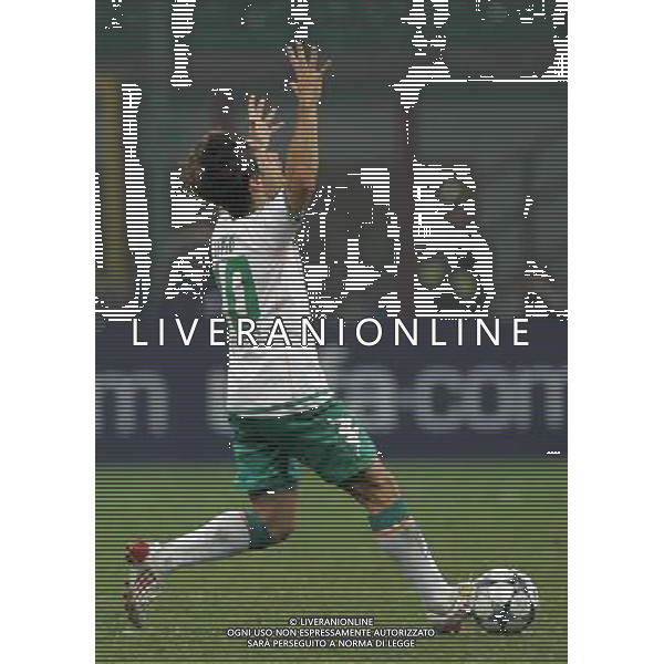 Milano 01-10-2009 champions league 2008/09 inter-werder brema 1:1 nella foto diego ph marco luzzani/ag aldo liverani s.a.s.