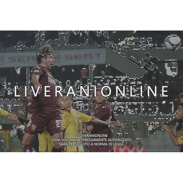Torino - Livorno Coppa Italia Tim Cup 2008/2009 01-10-2008 Torino Nella foto: il gol di paolo zanetti ©Alessandro Falzone/Press Photo/ag. Aldo Liverani