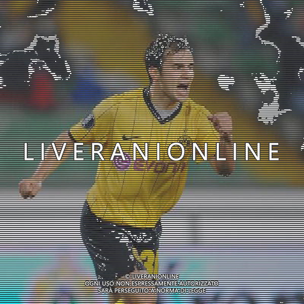 Udinese - Borussia Dortmund Coppa Uefa 02/10/2008 nella foto esultanza dopo il gol di hajnal ph garbuio/Ag. Aldo Liverani Sas