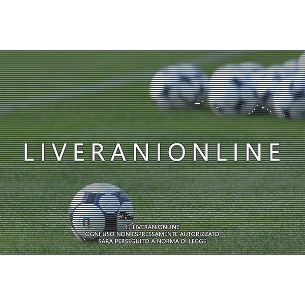 Raduno Nazionale Italiana di Calcio - Allenamento Coverciano(FI) - 08.10.2008 Nella Foto:PALLONI CALCIO /Ph.Vitez-Ag. Aldo Liverani