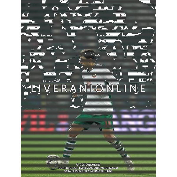 Qualificazioni ai Mondiali Sud Africa 2010 Gruppo 8 Sofia - 11.10.2008 Bulgaria-Italia Nella Foto:PETROV STILIYAN /Ph.Vitez-Ag. Aldo Liverani