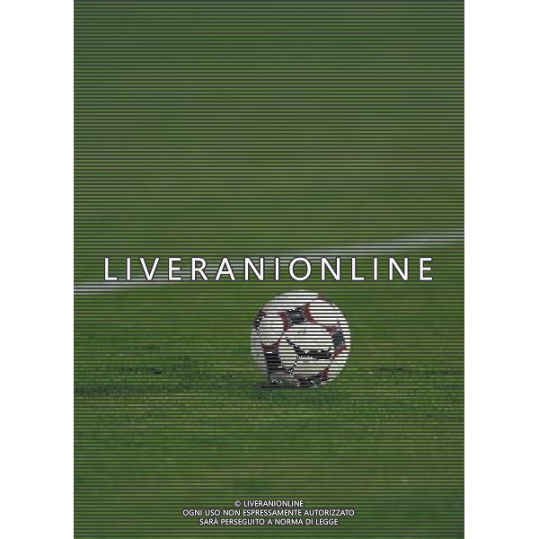 Qualificazioni ai Mondiali Sud Africa 2010 Gruppo 8 Sofia - 11.10.2008 Bulgaria-Italia Nella Foto:PALLONE CALCIO /Ph.Vitez-Ag. Aldo Liverani