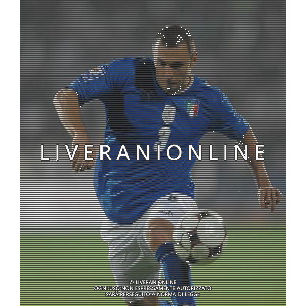 Qualificazioni ai Mondiali Sud Africa 2010 Gruppo 8 Sofia - 11.10.2008 Bulgaria-Italia Nella Foto:DOSSENA ANDREA /Ph.Vitez-Ag. Aldo Liverani